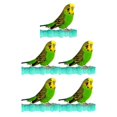 thumbnail image 2 of tssuouriy Safe Ingredient Bird Toy For Attention Catcher And Mood Lightener Parrot Scratching Stick Toy Bird as shown 5Set, 2 of 3