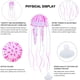 thumbnail image 3 of 6 medusas luminosas para decoración de acuarios. ER, 3 of 5