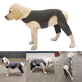 thumbnail image 2 of Pet Rear Leg Sleeve Wrap Aid in Comfortable Sleeve Leggings Against Licking Dog Leggings Elbow Brace, 2 of 10