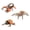 D, variant on Realistic Bugs Model Figurine Set Of 3 For Kids Science Learning Educational Toy Detailed Figure Student Biology Toy