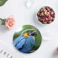 thumbnail image 4 of RYLABLUE Parrot Set of 4 Round Coaster for Drinks, Absorbent Ceramic Stone Coasters Cup Mat with Cork Base for Home Kitchen Room Coffee Table Bar Decor, 4 of 5