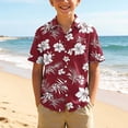 thumbnail image 2 of Rvasteizo Boys Short Sleeve T-Shirts Hawaiian Printed Lapel Soft Short Sleeve Shirt Top for Boys 3-15Years, 2 of 5