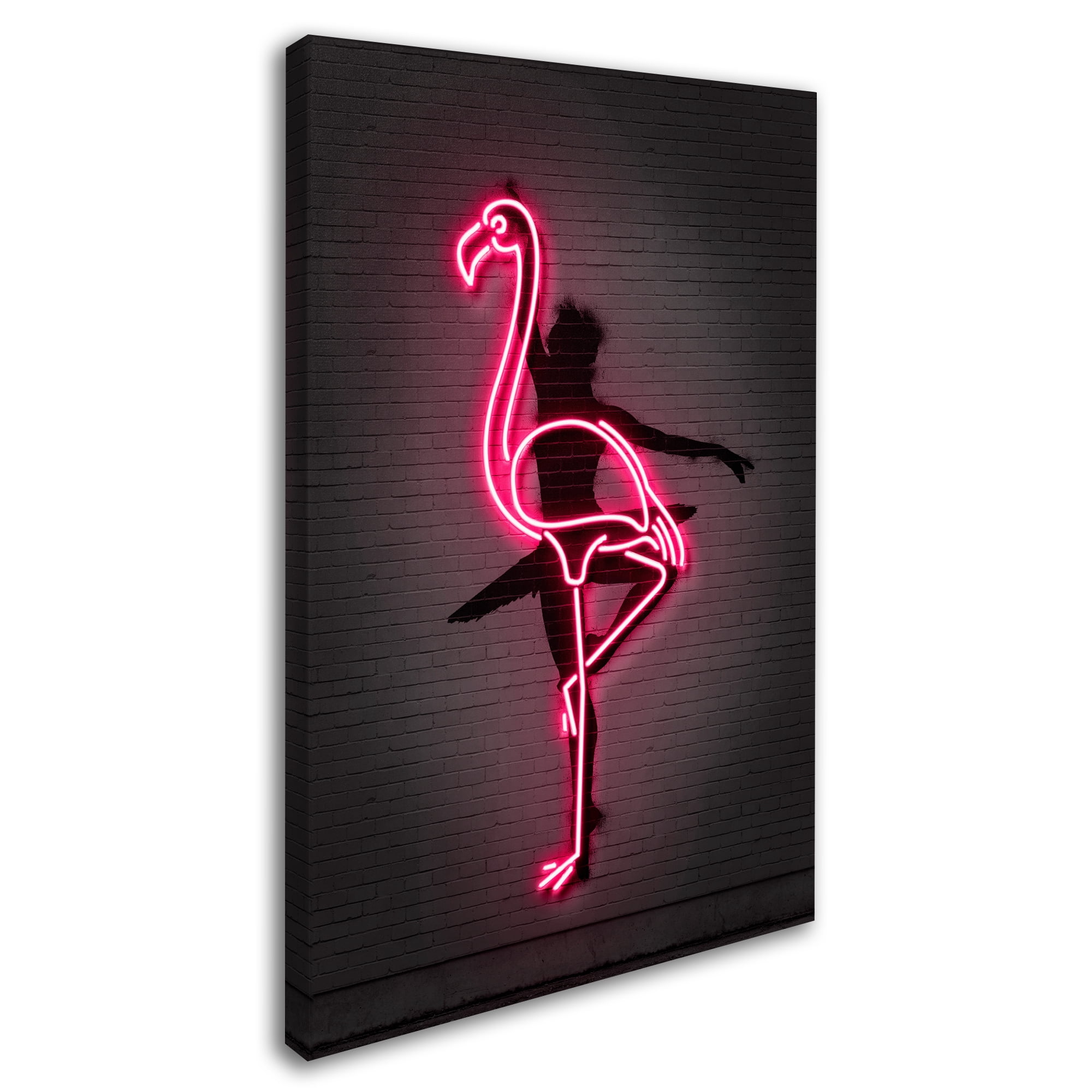 Trademark Fine Art 'Ballerina' Canvas Art by Octavian Mielu