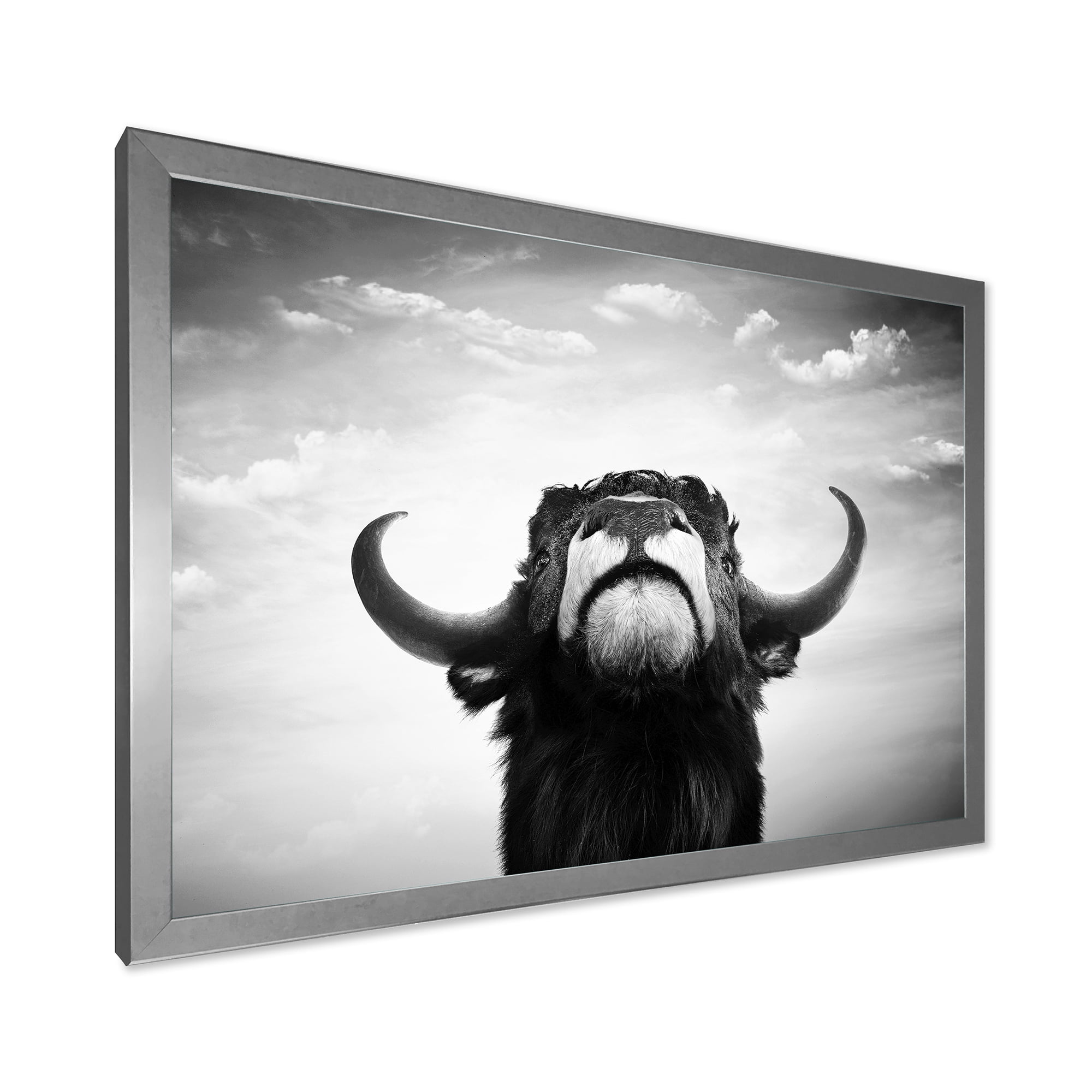 Designart 'Black and White Portrait Of A Spanish Bull I' Farmhouse Framed Art Print