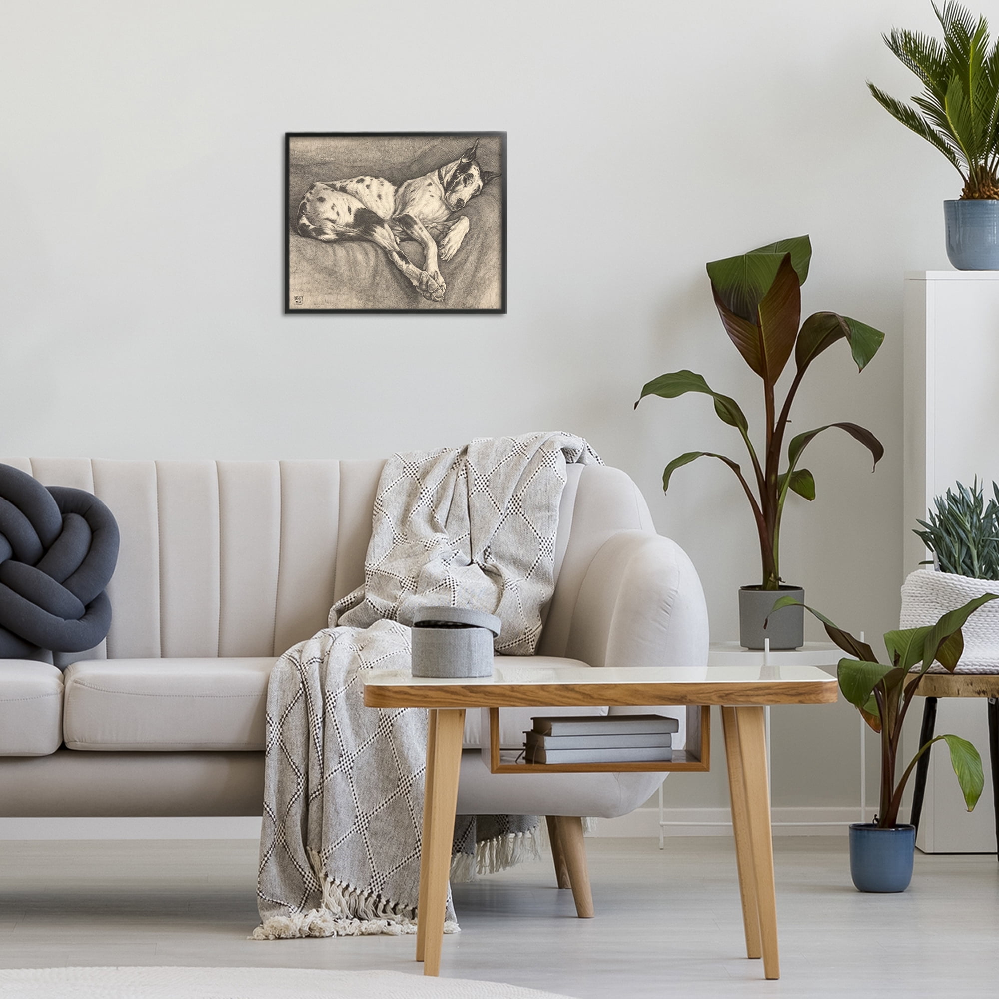 Stupell Industries Sleeping Hound Drawing Black Framed Giclee Art, design by Bertha Van Hasselt