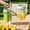 Green, variant on Juice Dispenser - Large Capacity Container with Spigot,Leak-Proof Beverage Storage Jar With Filter For Fridge,2L Clear Water Dispenser Countertop For Gathering Soda Lemonade Fruit Juice