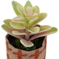 thumbnail image 4 of Northlight Artificial Pastel Succulent in Burlap Bag - 4.75", 4 of 6