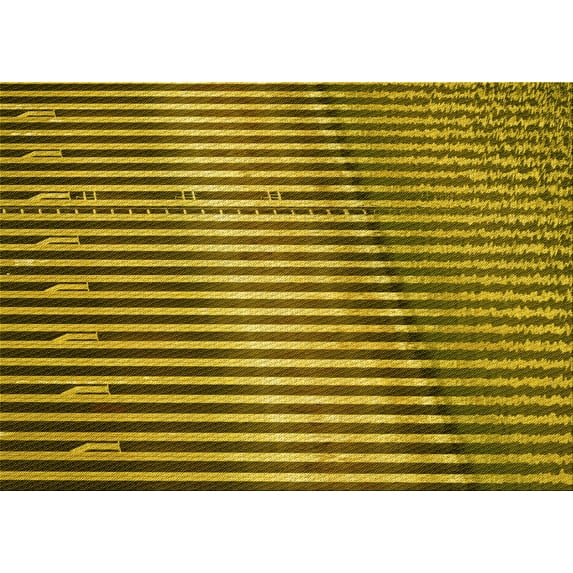 Ahgly Company Indoor Rectangle Patterned Deep Yellow Area Rugs, 5' x 7'