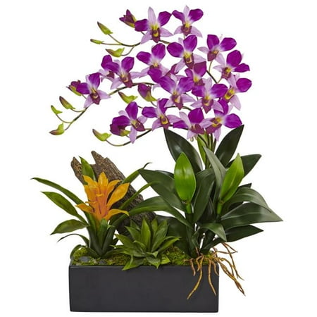 Nearly Natural Dendrobium Orchid and Bromeliad Silk Arrangement in Planter This faux dendrobium and bromeliad is dramatic and unique. The two lifelike plants are nestled together in a black rectangular planter filled with moss  making the arrangement look even more realistic. It adds a splash of summer to any room of the house.