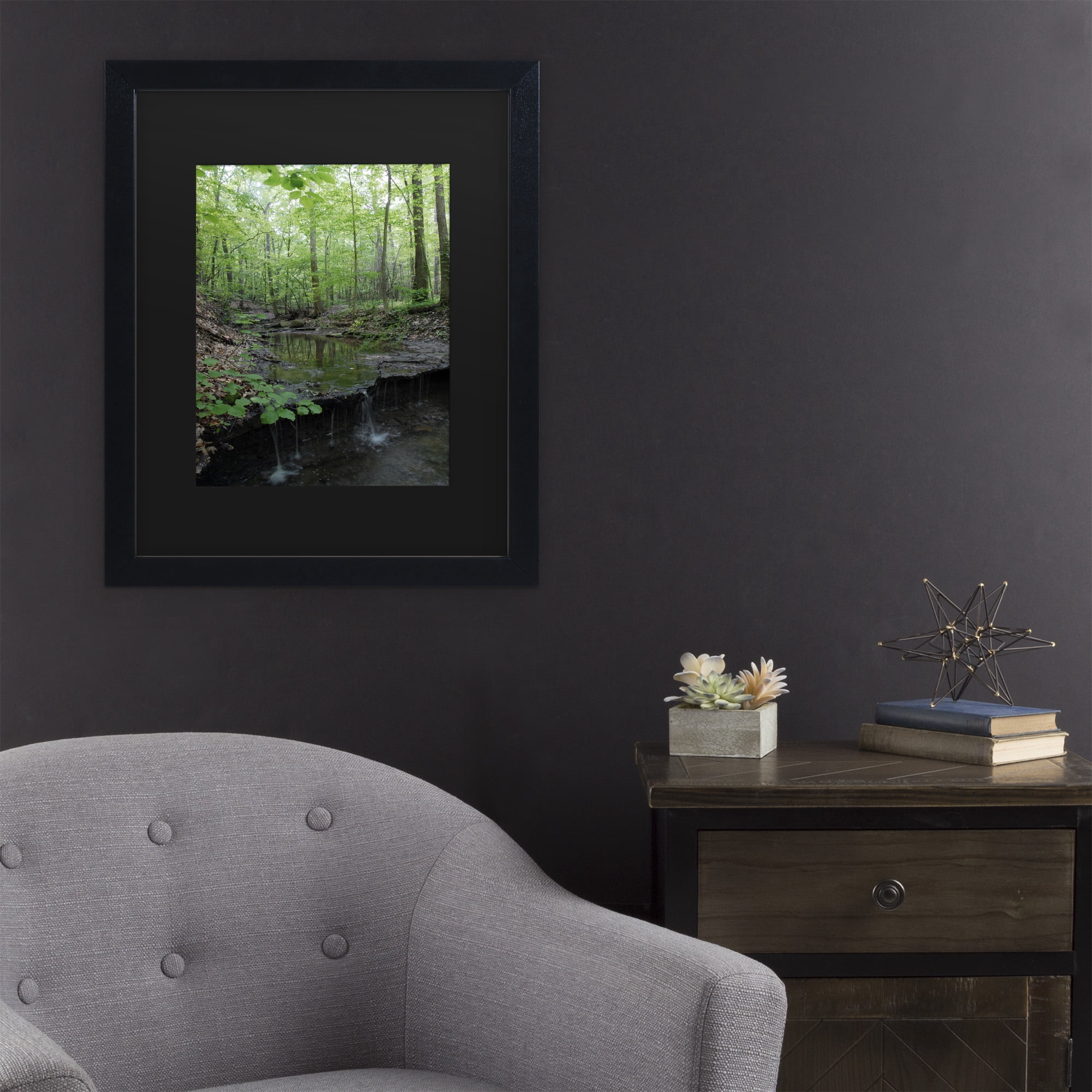Trademark Fine Art 'Tiny Forest Falls' Canvas Art by Kurt Shaffer