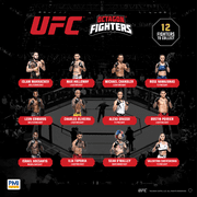 UFC 2.5 Inch Collectible Figures Speed Bag Capsule Includes Hidden Fighters on an Octagon Base with 12 to Collect with 4 Ultra Rare