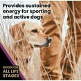 thumbnail image 5 of Victor Classic Professional Formula All Life Stages Dry Dog Food 40 lb, 5 of 10