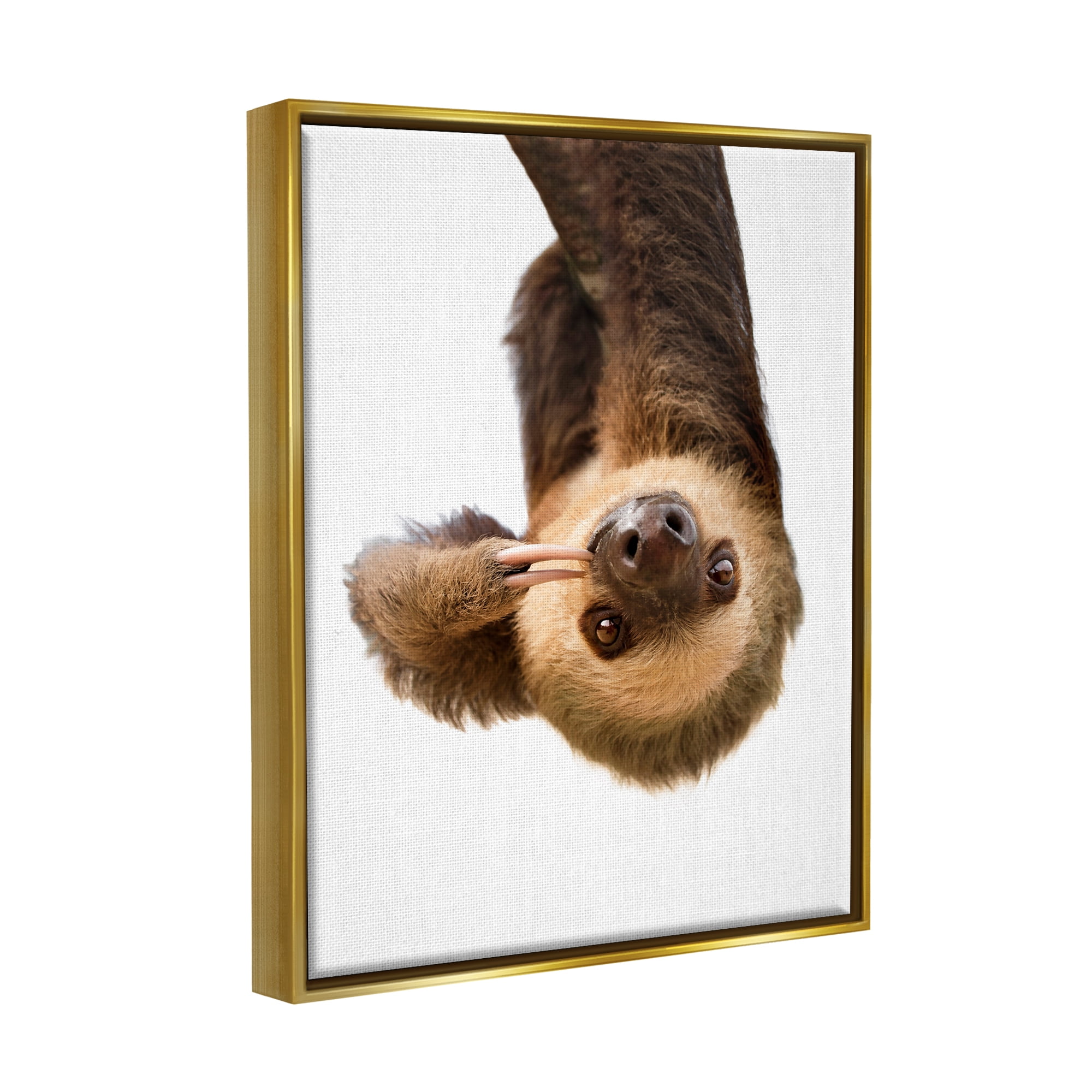 Stupell Industries Upside-down Sloth Portrait Animals & Insects Painting Gold Floater Framed Art Print Wall Art, 17 x 21