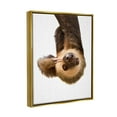 thumbnail image 3 of Stupell Industries Upside-down Sloth Portrait Animals & Insects Painting Gold Floater Framed Art Print Wall Art, 17 x 21, 3 of 9