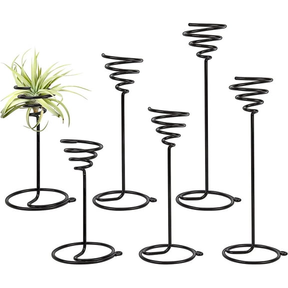 6 Packs Airplant Planter Holder 3 Sizes Air Plant Container Tillandsia Holder