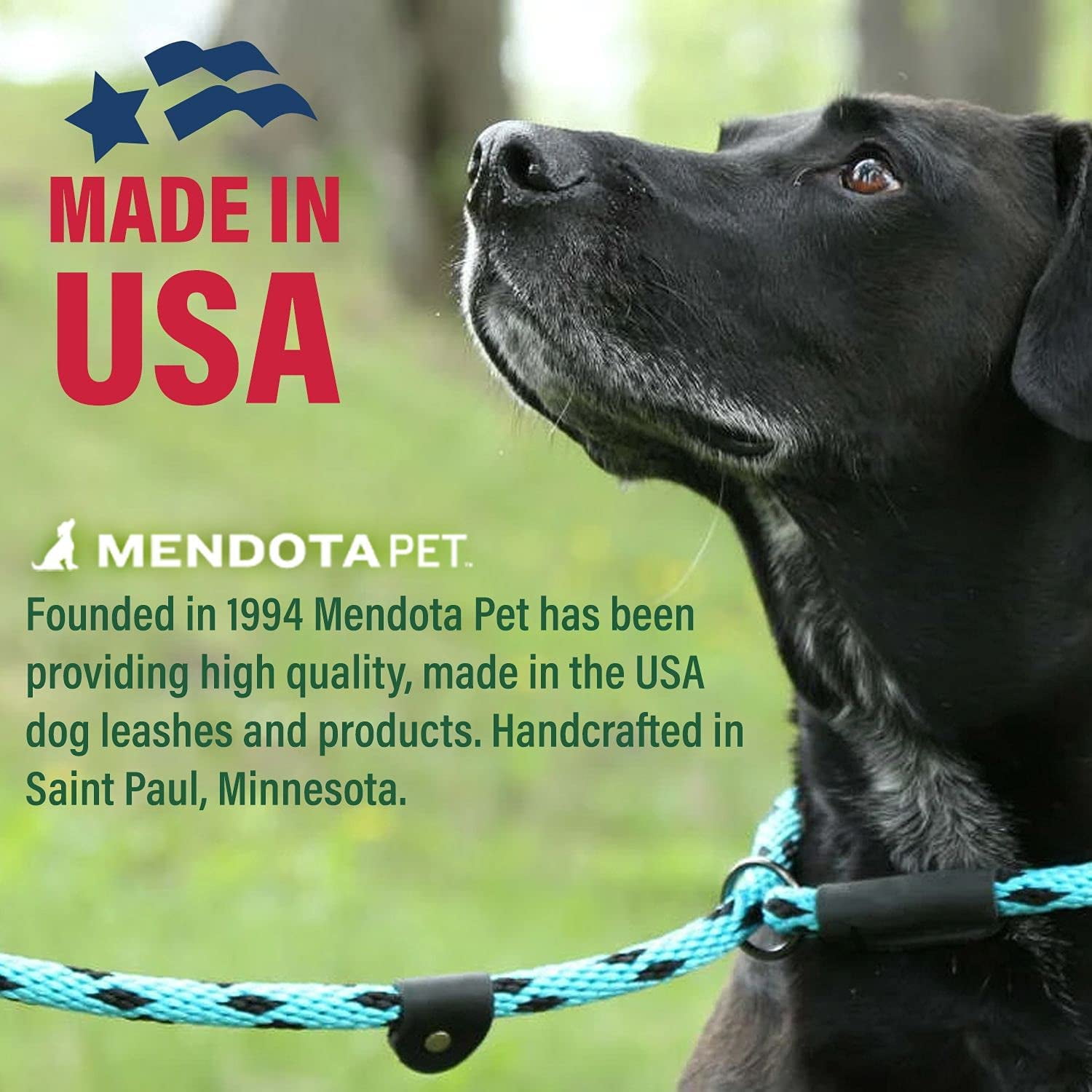 mendota slip lead leash