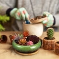 thumbnail image 3 of MOVTOTOP Succulent Pots, 6 Inch Succulent Planters Pots With Tray Ceramic Planter Pot With Drainage, Shallow Planters Bonsai Pots For Indoor Plants (No Plant), 3 of 7