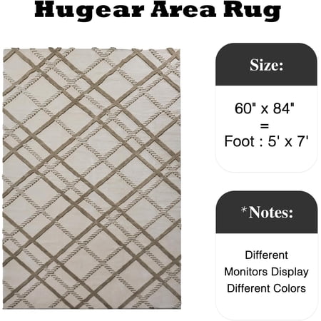 5x7 Shag Area Rug