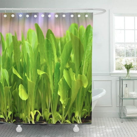 Growing Farming Green Lettuce Seedling, Shower Curtain Greenhouse