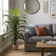 thumbnail image 1 of Planta artificial decorativa moderna con maceta Dracaena Palo de Brasil grande de 150cm de alto Artego, 1 of 8