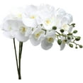 thumbnail image 4 of MELLCO 70CM 8 heads Artificial Phalaenopsis Flowers Branches Silk Orchids Flowers for Home Office Wedding Decoration (1pc White), 4 of 8