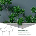 thumbnail image 4 of Gardening Trellis Iron Plant Support for Flower Pots Outdoor Indoor Black 2Pack, 4 of 4