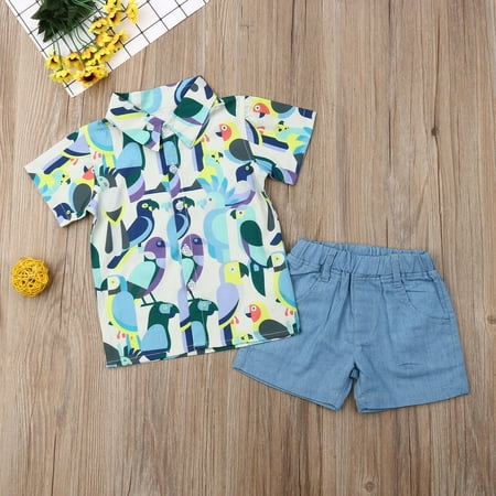 

Toddler Baby Kids Boy Short Sleeve T-Shirt Top Short Pants 2PCS Outfit Clothes