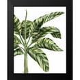 thumbnail image 2 of Fab Funky 15x18 Black Modern Framed Museum Art Print Titled - Banana Tree 3, Green, 2 of 5