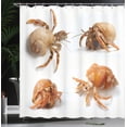 thumbnail image 4 of Ambesonne Sea Animals Shower Curtain, Hermit Crabs Pattern, 69"Wx84"L, Marigold and White, 4 of 5