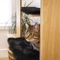 thumbnail image 2 of Arbre à Chat Multifonctionnel Instachew MODAN, 2 of 4