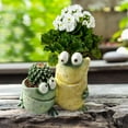 thumbnail image 3 of Funny Plants Flower Pot - Cute Animal Planter Smile Face Frog Resin Succulent Pot for Indoor Outdoor Decor Garden Frog Planter Plant Pot Desktop Planting Ideas Gift Office Balcony Bonsai, 3 of 6