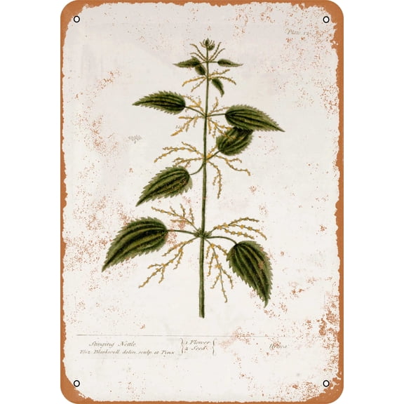 7 x 10 METAL SIGN - 1737 Nettle Botany Plate - Vintage Rusty Look