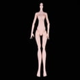 thumbnail image 4 of Cuerpo de Muñeca Articudo con de 3 Piezas, Cuerpos Femeninos Desnudos Sin Accesorios de Visualización de Cabeza Juguetes Articudos Móviles CUTICAT Cuerpo de muñecas de niña desnuda, 4 of 8
