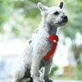 Soft Dog Vest Harness No Pull Small Pet Vest Harnesses With Mesh Padded