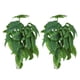 thumbnail image 5 of Planta de reptiles de plástico, planta de agua artificial de 2 piezas Planta de plástico artificial Enredadera colgante artificial Rendimiento de alta gama, 5 of 8