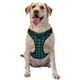 thumbnail image 1 of Balery Teal On Black Plaid Arnés para Perros Grandes Antitirones, Arnés con Correa para Gato, Arnés Tipo Chaleco para Perros Pequeños-Small, 1 of 6