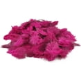thumbnail image 1 of Pack of 300 decorative feathers guinea fowl feathers for DIY craft decoration Easter Christmas decorative figure, 1 of 7