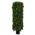 thumbnail image 1 of 4' Boxwood Tree Cylinder UV Resistant, 1 of 1