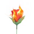 thumbnail image 5 of Antorcha a rosa (1 unidad) Truco de magia de fuego Flor que aparece en llamas Accesorios para magos profesionales Magia mentalismo para espectáculos de novias/bodas o calles, 5 of 5