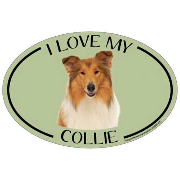 Imagine This Oval Magnet, I Love My Collie