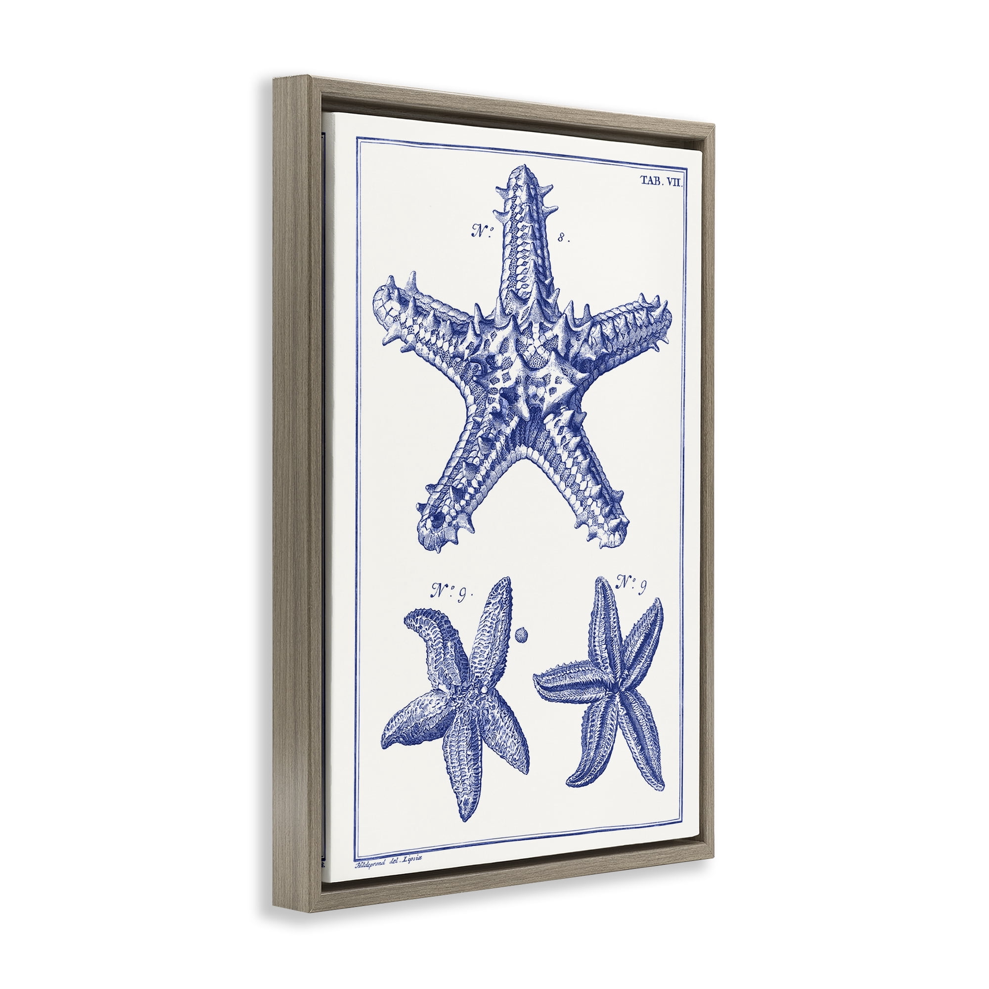 Stupell Industries Blue Starfish Diagrams Animals & Insects Painting Brown Floater Framed Canvas Art Print Wall Art, 17 x 25