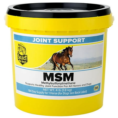 Select The Best MSM Joint Support for Horses 4 lb (Best Grain To Feed Horses)