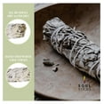 thumbnail image 2 of saney 4 Inch 100 Pack Organic White Sage Smudge Smudging Sticks | Cleansing and Negative Energy, Good Energy Meditation, & Smudging Rituals | Sustainably Sourced California White Sage Bundle, 2 of 8