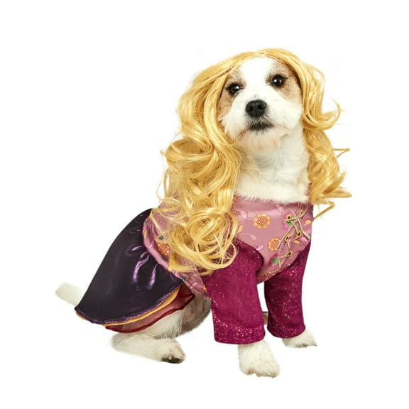 Hocus Pocus Sarah Pet Costume