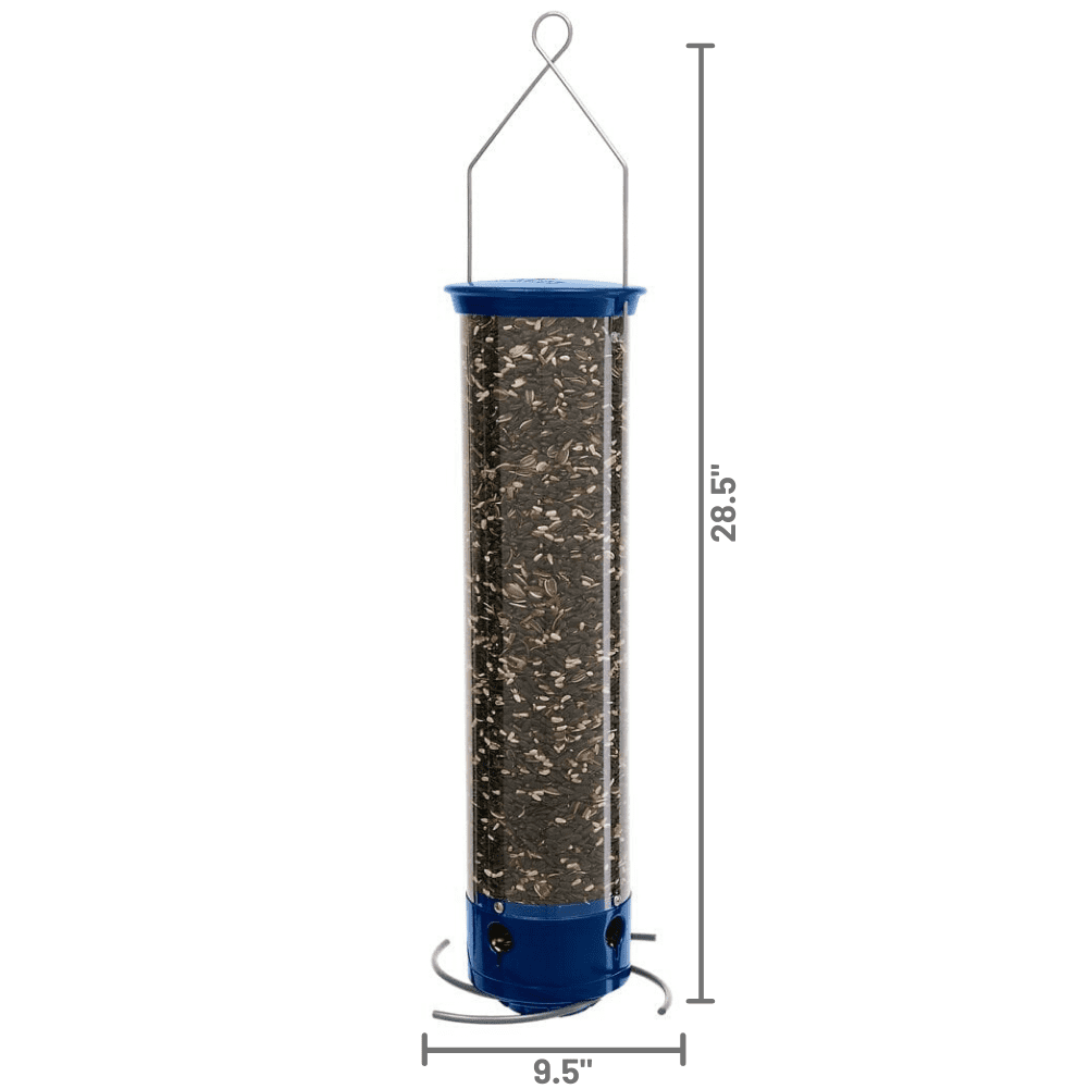 Droll Yankees Squirrel Proof Bird Feeders for Outdoors - Whipper, Collapsible Perches, 5-Pound Seed Capacity, Blue
