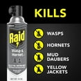 thumbnail image 3 of Raid Killer 33 Outdoor Wasp and Hornet Insecticide Value Pack, 14 oz, 2 Count, 3 of 14