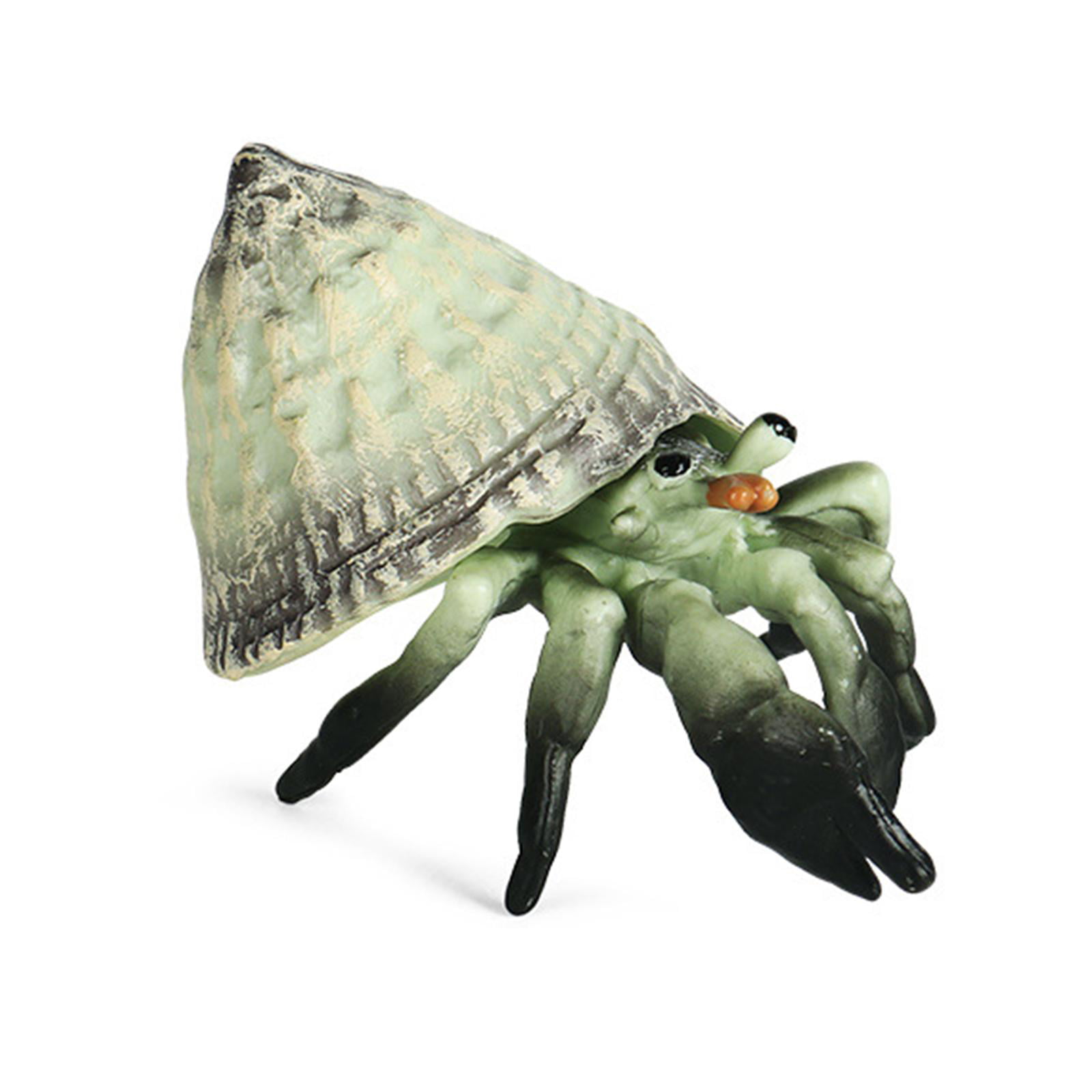 Ocean Animal Model Hermit Crab Kids Science Learning Toy Home Decor 
