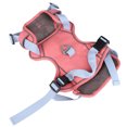 thumbnail image 1 of Pet Harness Vest, Breathable Stylish Lightweight Adjustable Escape Proof Dog Harness  For Training For Walking  S, 1 of 8