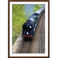 thumbnail image 2 of Steam Train on Bluebell Railway, Horsted Keynes, West Sussex, England, United Kingdom, Europe, Transportation Framed Art Print Wall Art by Neil Farrin Sold by Art.Com, 2 of 6