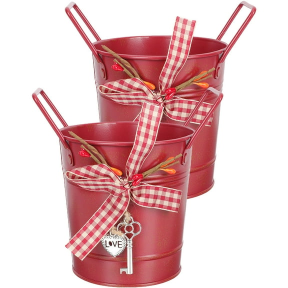 Moluckfu Ribbon Design Flowerpot 2Pcs Red Metal Vase for Office and Indoor Decoration